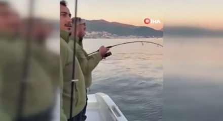 Gemlik Körfezi'nde balıkçıların oltasına köpek balığı takıldı