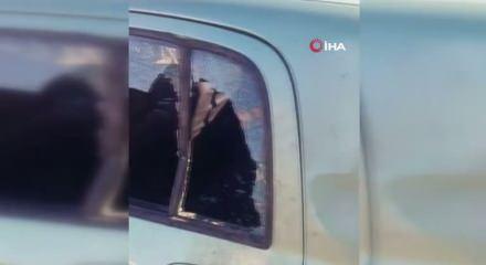 Gümüşhane’de ayı park halindeki araca saldırdı