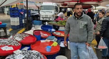 Hamsi bolluğu tezgahlara yansıdı: Tekirdağ'da hamsinin kilosu 50 liraya düştü!