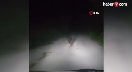 Karabük'te yolda koşan ayı kamerada
