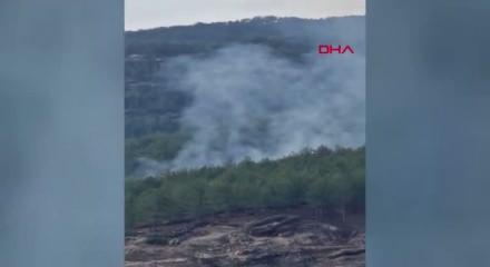 Muğla’da 1 hektar orman yandı