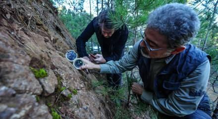 Sındırgı depremlerinin "ölü" fayların yeniden aktifleşmesiyle meydana geldiği belirlendi
