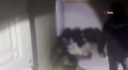 Sınırda nefes kesen operasyon: 24 düzensiz göçmen yakalandı