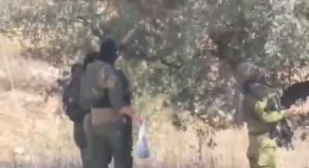 Siyonistler Filistinlileri yurtlarında kovdu mahsullerini çaldı