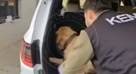 Ticaret Bakanlığı duyurdu: İki gümrük kapısında peş peşe operasyon!