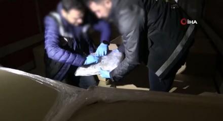 Ticaret Bakanlığı duyurdu: İki gümrük kapısında peş peşe operasyon!