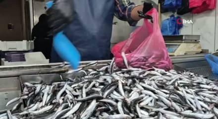 Yaz sıcakları palamudu vurdu, yerini hamsi aldı