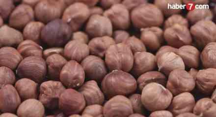 Fındık ihracatı 10 ayda 1,8 milyar doları aştı