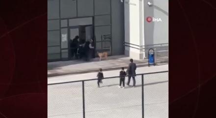İlkokulda başıboş köpek paniği: O anlar kamerada 