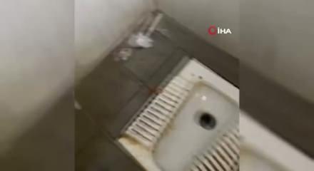 Bolu'da Hayreddin Tokadi Türbesi'nde tepki çeken görüntüler