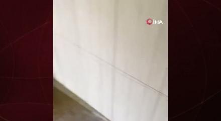 Bolu'da türbede tepki çeken görüntüler