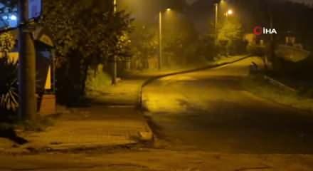 Çakallar Bartın şehir merkezini mesken tuttu