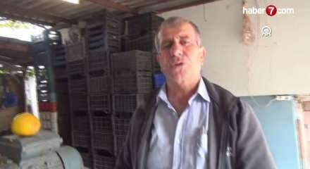 Çanakkale'de tasarladığı aletle kurutup kilosunu 500 TL'den satıyor