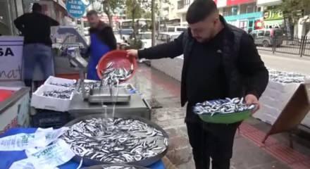 Amasya’da hamsi 50 TL'ye düştü: Vatandaşlar sıraya girdi, balıkçıdan dikkat çeken sözler