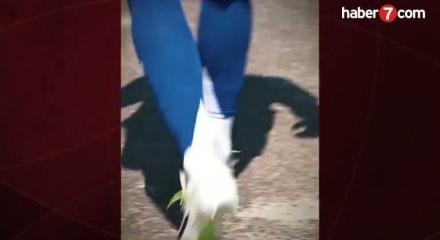 Galatasaray'dan olaylı ayrılan Morata, İtalya'da kriz yaşıyor