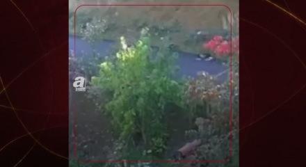 Kastamonu'da günlerdir kayıp anne ve çocuğunun görüntüleri ortaya çıktı