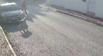 Kendisine saldıran köpeği silahla vuran 83 yaşındaki emekli polis  gözaltına alındı