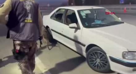 Koltuğun içine gizlenmiş 8,5 kilo metamfetamini 'Magnum' buldu 