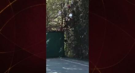  Suriye Cumhurbaşkanı Ahmed Şara hünerlerini sergiledi!