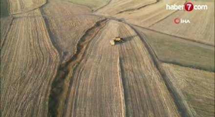 TİGEM 2 bin 42 ton buğday satmak üzere ihale açtı.