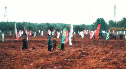 11 Kasım Milli Ağaçlandırma Günü'nde çifte rekor!