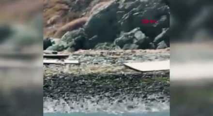 Halit Yukay olayında gemi kaptanı için 9 yıla kadar hapis istenen iddianame kabul edildi