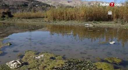 İran, şiddetli kuraklığa çözüm arıyor...