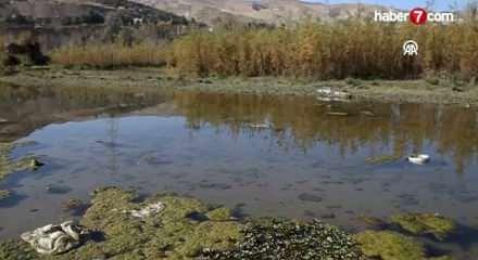 İran'da su krizi kritik hal aldı!