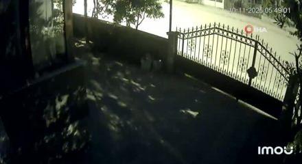 İzlerken tüyleri diken diken eden görüntü!