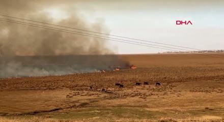 Nehil Sazlığı'ndaki yangın söndürüldü