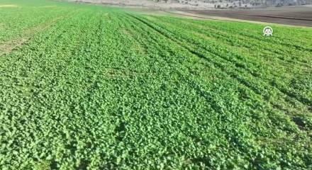 FAO'dan Türkiye'deki arazi tahribatını engellemeye yönelik projelere 8,1 milyon dolarlık kaynak