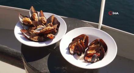 Sağlık Bakanlığı gıda zehirlenmeleri için harekete geçti