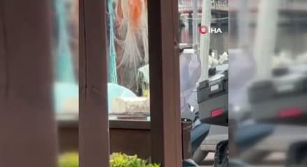 Şİle'de patlamamış havan mermisi bulundu!