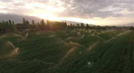 Kırsalda yürütülen kalkınma programları istihdam artışına da destek oluyor