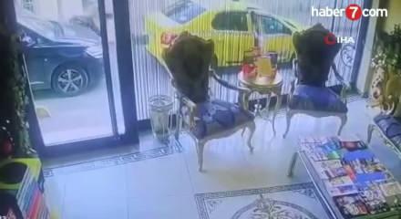 Böcek ailesi hangi otelde kaldı?