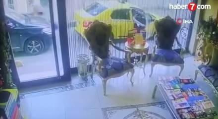 Böcek ailesiyle ilgili ilaçlama firması yetkilisinden skandal itiraf!