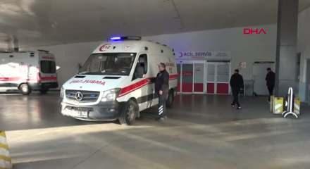 Hayvan otlatırken ayı saldırısına uğradı: Elmacık kemiği koptu!