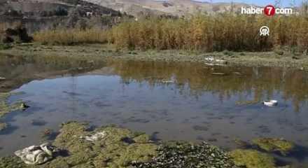 İran için kırmızı alarm... Su rezervleri tükeniyor mu?