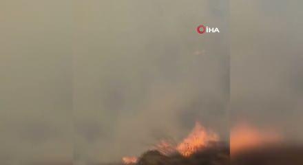 İran, orman yangını için Türkiye'den yardım istedi