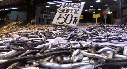 Karadeniz'de son 35 yılın en bereketli hamsi sezonu yaşanıyor