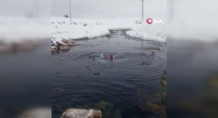 Karlı havada suya girdi! O anlar izleyenleri titretti