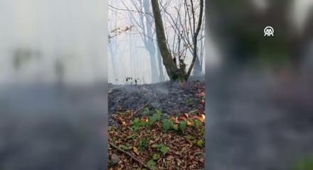 Ordu'da çıkan örtü yangınına müdahale ediliyor