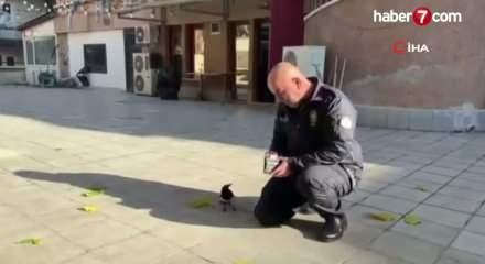  Polis ile saksağanın dostluğu görenleri hayrete düşürdü