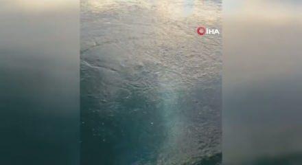 Sapanca Gölü'nde esrarengiz görüntü