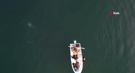 Sapanca Gölü'ndeki endişelendiren kabarcıklar su altından ve havadan görüntülendi