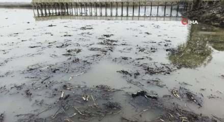 Sapanca’nın ardından Efteni Gölü’nde de gizemli fokurtu