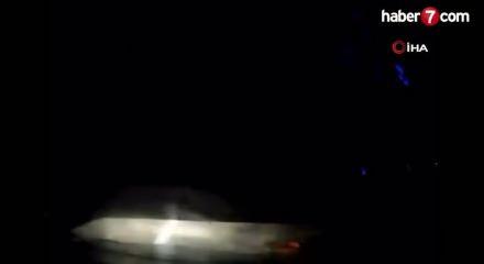 Tokat'ta otomobil sürüye çarptı: 12 koyun telef oldu