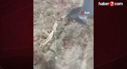 TSK uçağının düşüşüne dair ilk bulgular: “Kuyruk önce kopmuş, inceleme en az 2 ay sürecek”