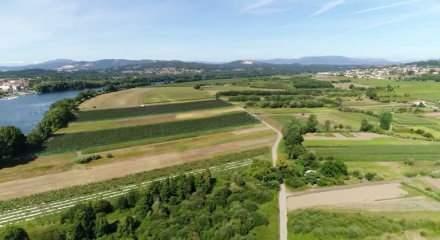 Tarım bölgelerine 6 milyar liralık destek