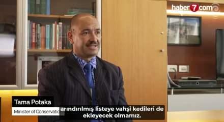 Yeni Zelanda 2050’ye kadar 2,5milyon vahşi kedi itlaf edecek